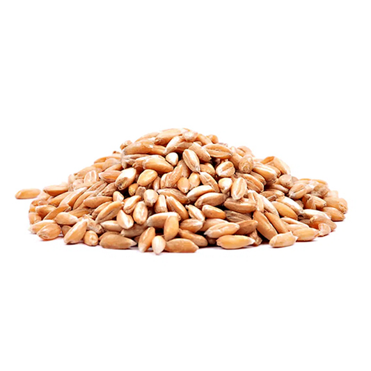 Farro perlato – 500 g